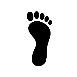 Diagnóstico de Carbono